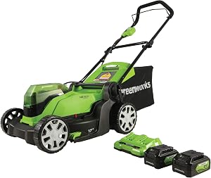 Greenworks 48V (24V x 2) 17" Cordless (Push) Lawn Mower (200+ Compatible Tools), (2) 